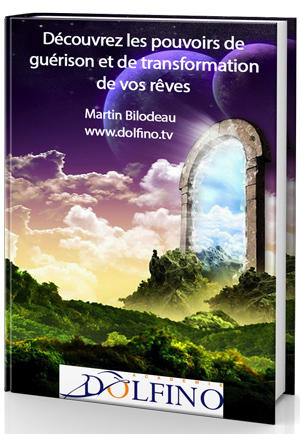 3D_Covers_Template_Reves